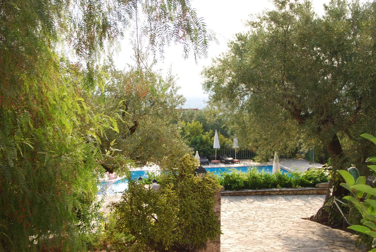 Anatoli Labreon Hotel Agia Marina  Bagian luar foto