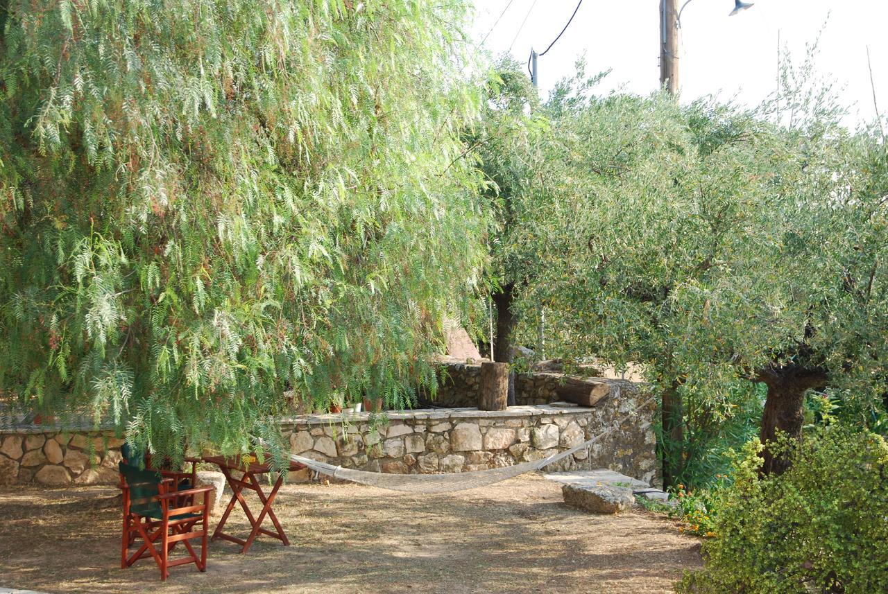 Anatoli Labreon Hotel Agia Marina  Bagian luar foto