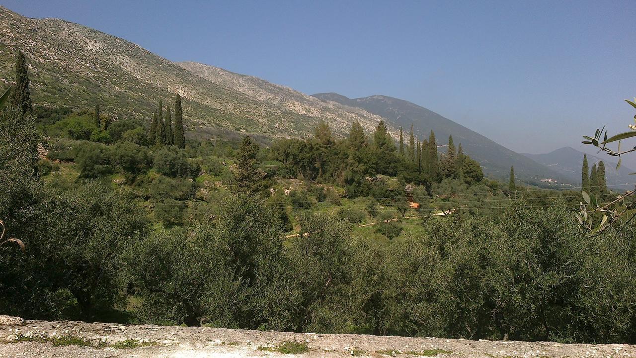 Anatoli Labreon Hotel Agia Marina  Bagian luar foto