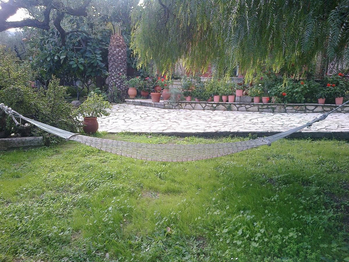 Anatoli Labreon Hotel Agia Marina  Bagian luar foto